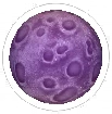 Moon Purple, non-target item in Match Factory Level 1526