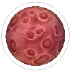 Moon Red, target item in Match Factory Level 1543